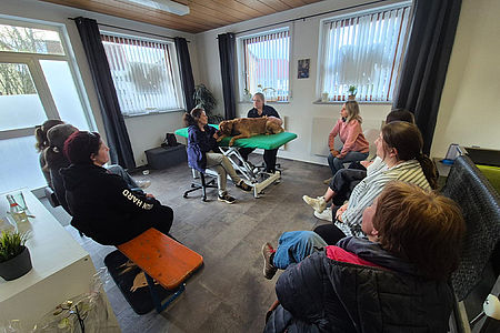 Mehrere Personen sitzen um einen Behandlungstisch, dort liegt ein Hund und wird von zwei Frauen untersucht.