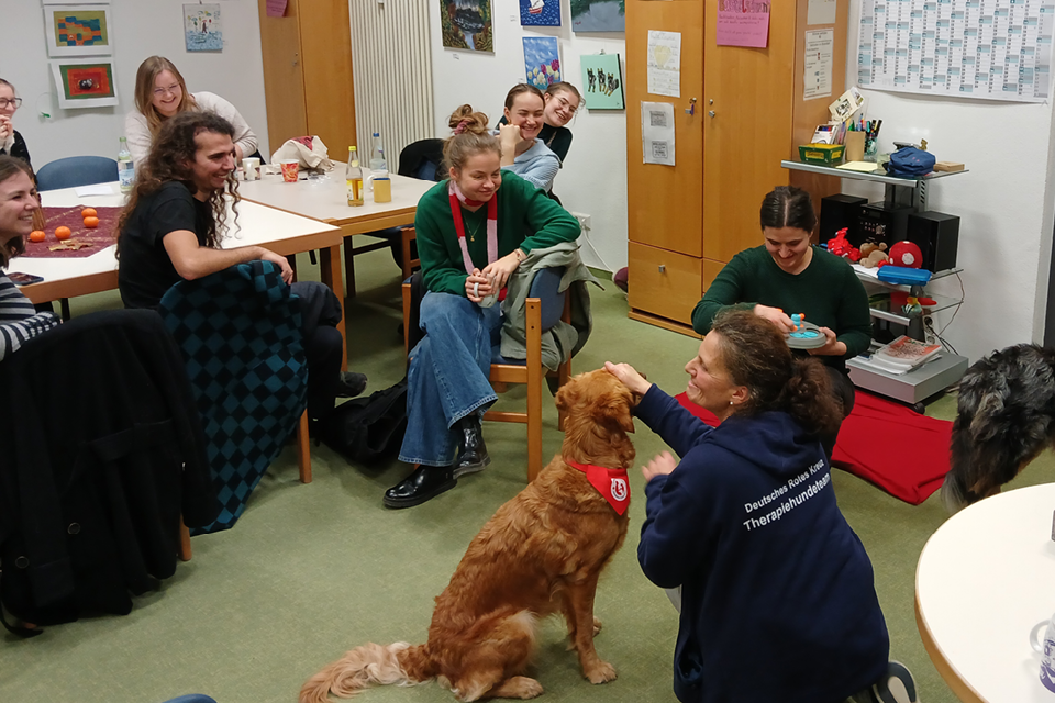 Therapiehunde_U25