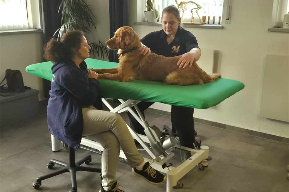 Zwei Frauen sitzen an einem Behandlungstisch, auf dem Tisch liegt ein Hund.