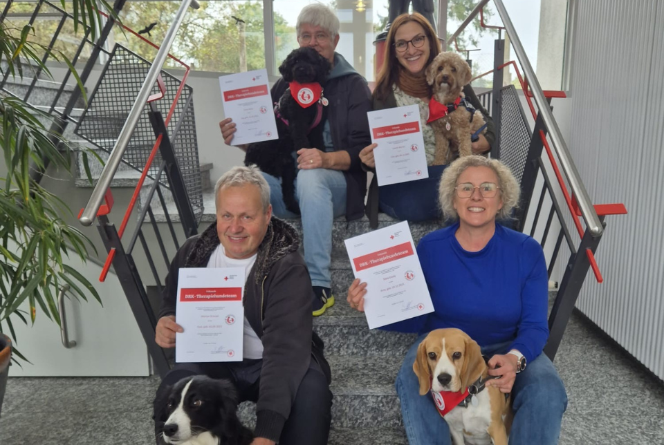 Therapiehunde Vier Personen mit Hunden halten Zertifikate
